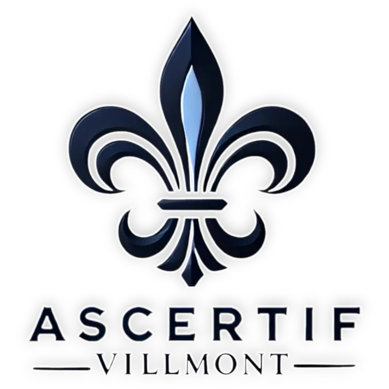 Perfil Ascertif